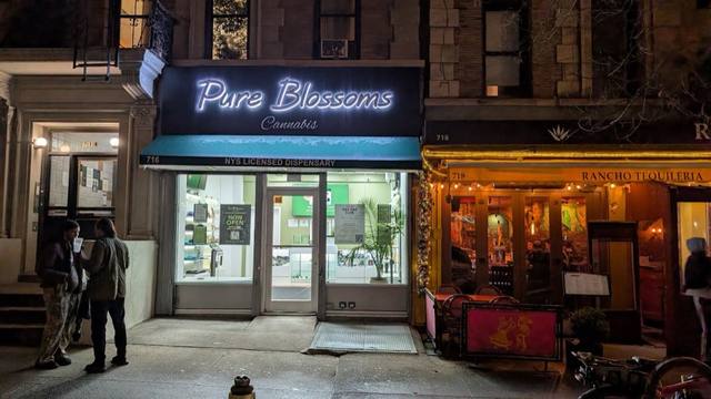 Pure Blossoms, Upper West Side, Manhattan